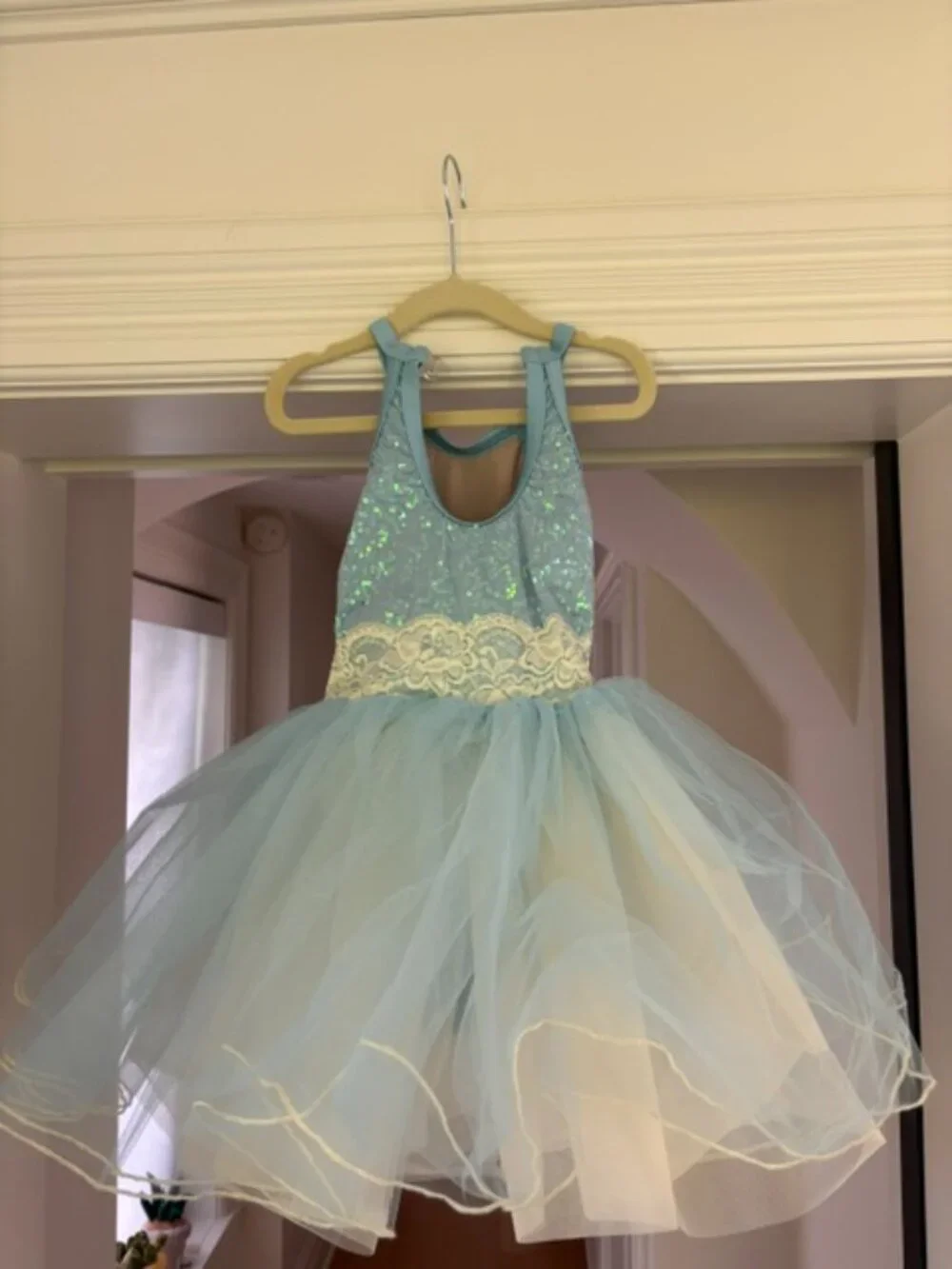 Like New: Path of the Wind Tutu in 3T/4T - Weissman Showtime